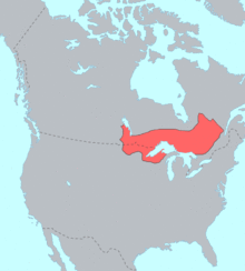 Ojibwe Language Map.png