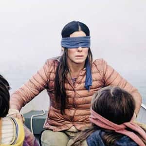 Bird Box