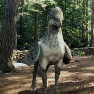 Buckbeak