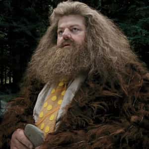 Rubeus Hagrid