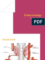 Endocrinology