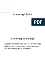 Immunoglobulin