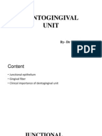 Dentogingival Unit