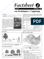 233 Coppicing