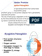 Globular Proteins: Myoglobin/Hemoglobin