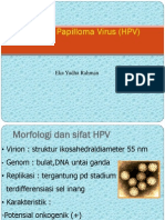 Human Papilloma Virus (HPV) (PSPD)