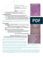 Pancreatic Pathology