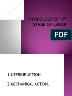 Physiology of 1st Stage of Labor