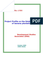 Investment Office ANRS: Project Profile On The Establishment of Banana Plantation