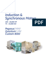 GE Induction and Synchronous Motors