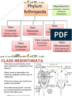 Phylum Arthropoda: Reproduction