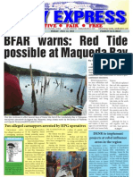 BFAR Warns: Red Tide Possible at Maqueda Bay: Daily Express