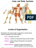 Human Body Systems