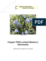 Organic Blueberry Guide