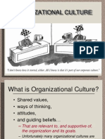 Culture & Values in Organisation