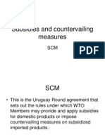 Subsidies and Countervailing Measures SLIDES