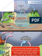 The Carbon Cycle