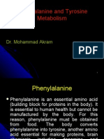 Phenylalanine and Tyrosine Metabolism (18 Oct)