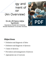 Physiology and Management of Labor (An Overview) : DR - Dr.J.M.Seno Adjie Spog (K)