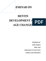 Word Doc Dentin