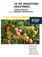 Mango Industry P