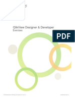 Designer Developer - Exercises QlikView