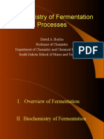 Biochemistry of Fermentation Processes