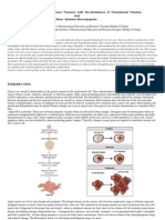 The Concept of Killing Tumours With The Assistance of Transdermal Patches and Nano Aptamer Bioconjugates