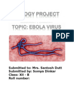 Ebola Virus