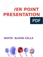 Powerpoint Presentation