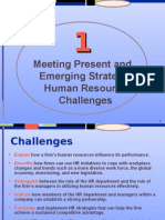 Meeting Present and Emerging Strategic HR Challanges