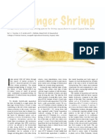 The Ginger Shrimp - Metapenaeus Kutchensis: A Promising Species For Shrimp Aquaculture in Coastal Gujarat State, India