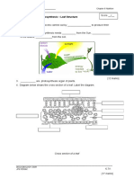 WORKSHEET 6.7 Photosynthesis - Leaf Structure