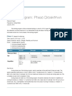 Training Program - Phase Breakdown