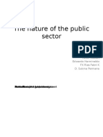 The Nature of The Public Sector