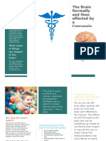 Concussion Brochure 4