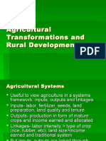 Agricultural Transformations and Rural Development