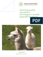 9.1. Advancing Assisted Reproductive Technologies in Camelids Experimento 5 TAN SOLO