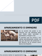 Apareamiento en Cabras