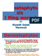 Dermatophytes