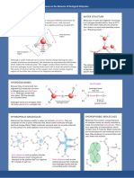 Hydrogen Bonds