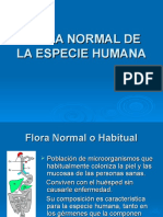 Flora Normal