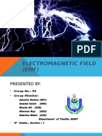 Electromagnetic Field (EMF)