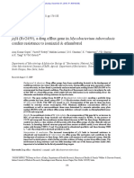 Jefa (Rv2459), A Drug Efflux Gene in Mycobacterium Tuberculosis