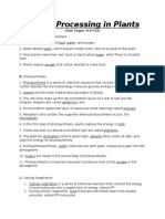 Energy Processing in Plants