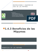 Beneficios Restricciones Fracasos Mipymes