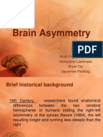 Brain Asymmetry