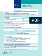 Dutch Ankle Sprain Physiotherapy Flowchart