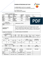 Job Pertamina-Petrochina East Java: Wahdanadi, Erik