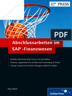 EBook - Abschlussarbeiten Im SAP - Finanzwesen